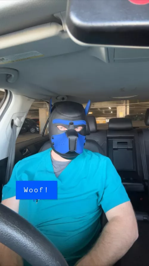 He’s a 10 and can save your life…🥵 by Pup_Glacier