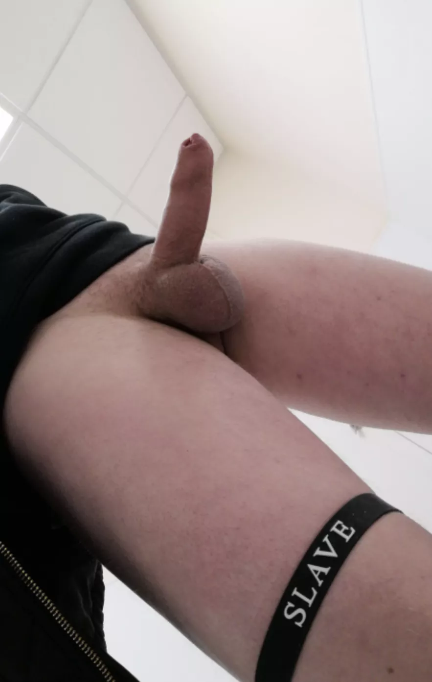 Hidden collar so I remember I'm owned  posted by File_Physical