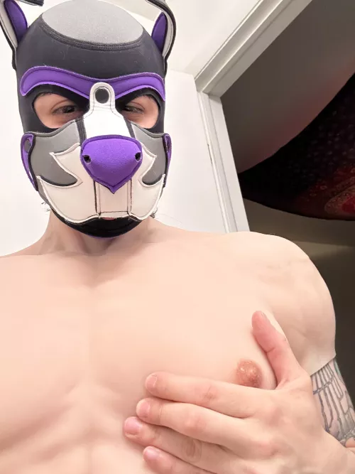 Himbo pups to the front please  by Tranzpuppy