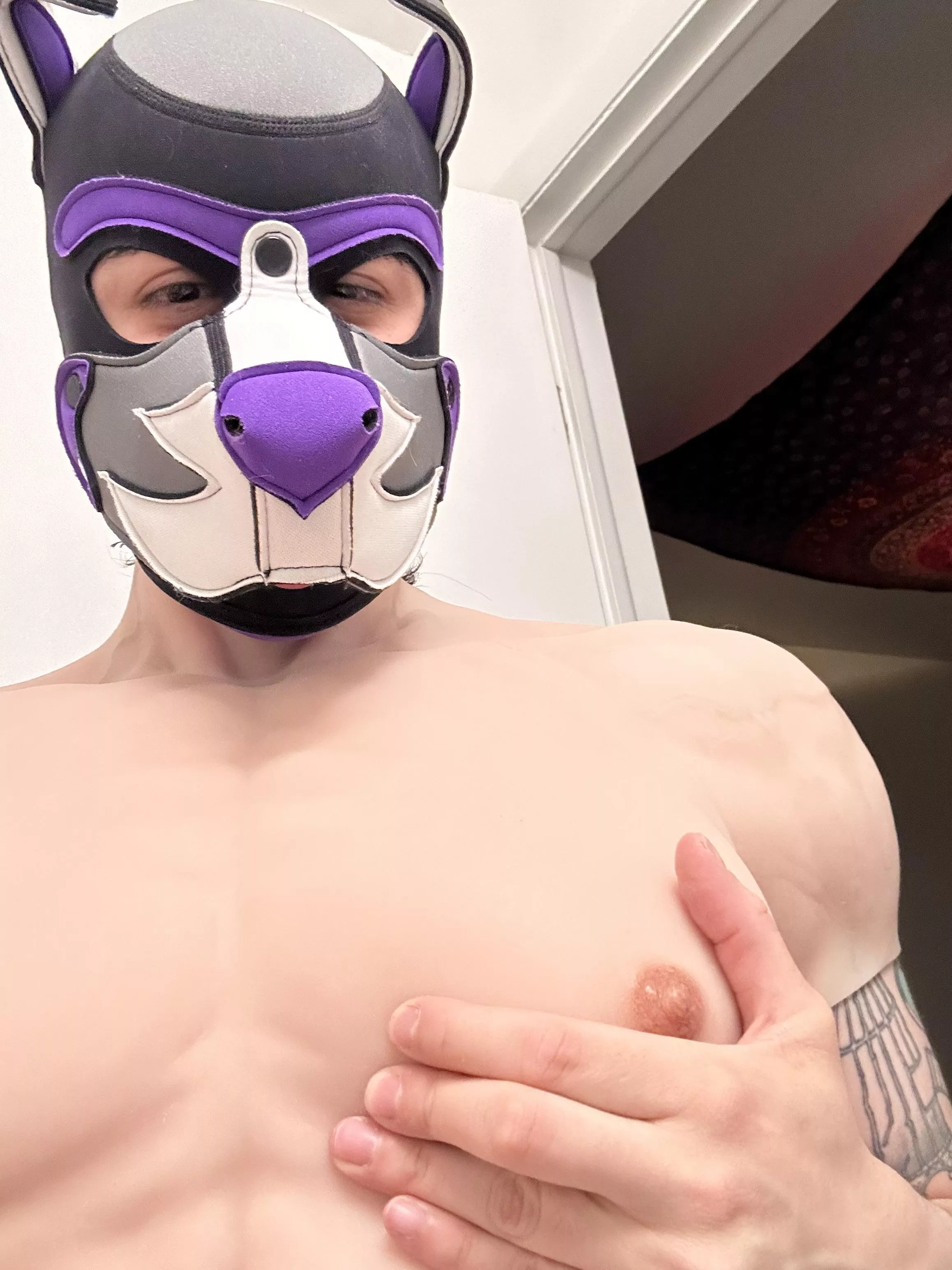 Himbo pups to the front please  posted by Tranzpuppy