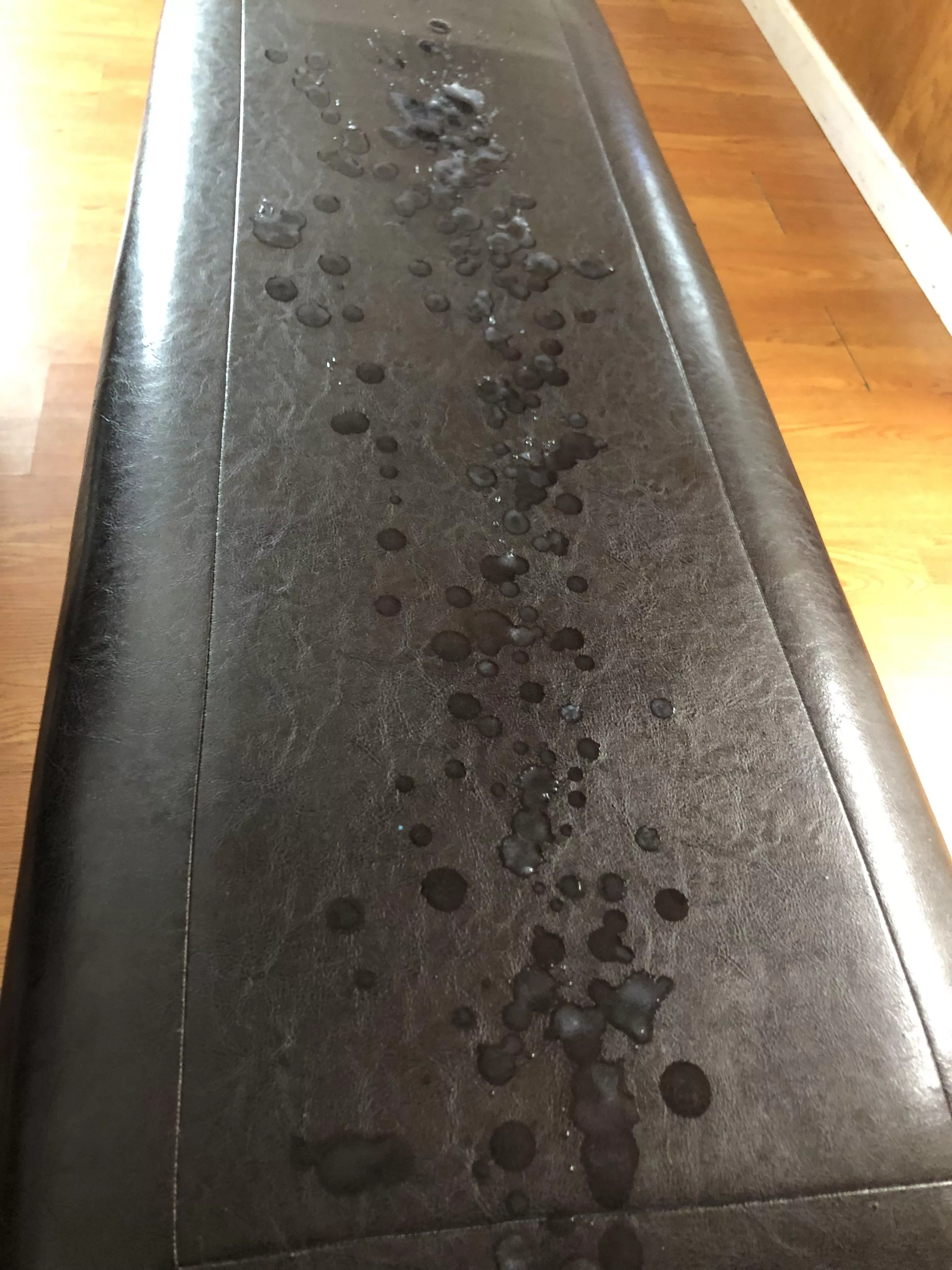 Hopefully that’s enough cum for you posted by RockyBalboner666