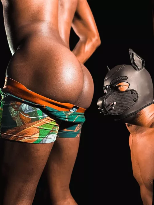 How do you pups feel about sniffing butts 🤔 by Stars-n-stripes