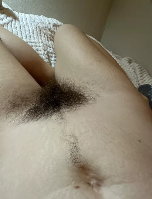 I’m proud to have grown such a big bush this year   by tinkerbellagrl