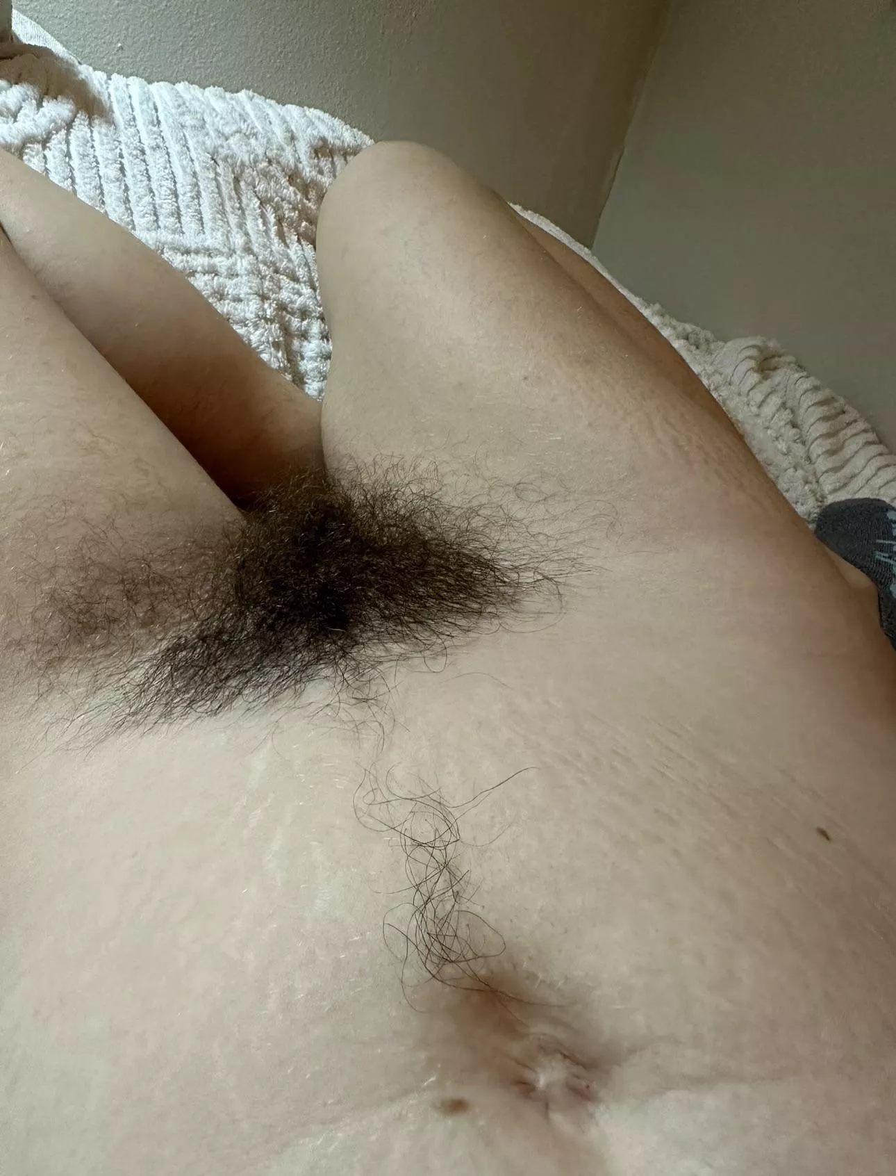 I’m proud to have grown such a big bush this year   posted by tinkerbellagrl