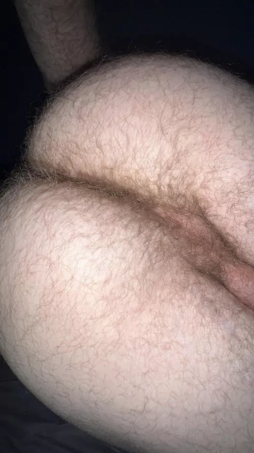 I'm so dang hairy in between my cheeks 😵‍💫 by FartsTX