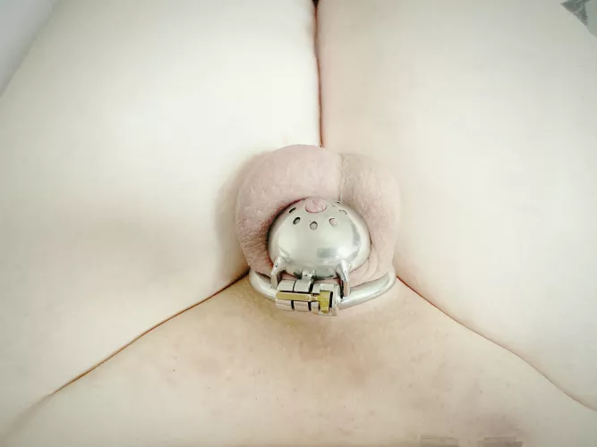 Is it cute enough yet? by Street_Cook707