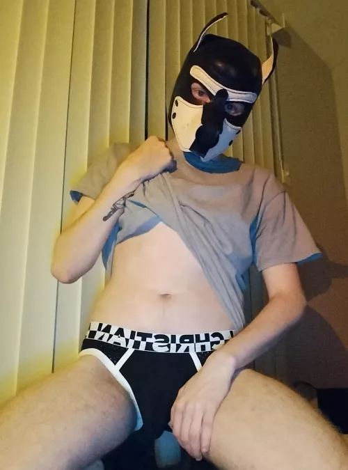 New pup hood! by amuttnamedjax