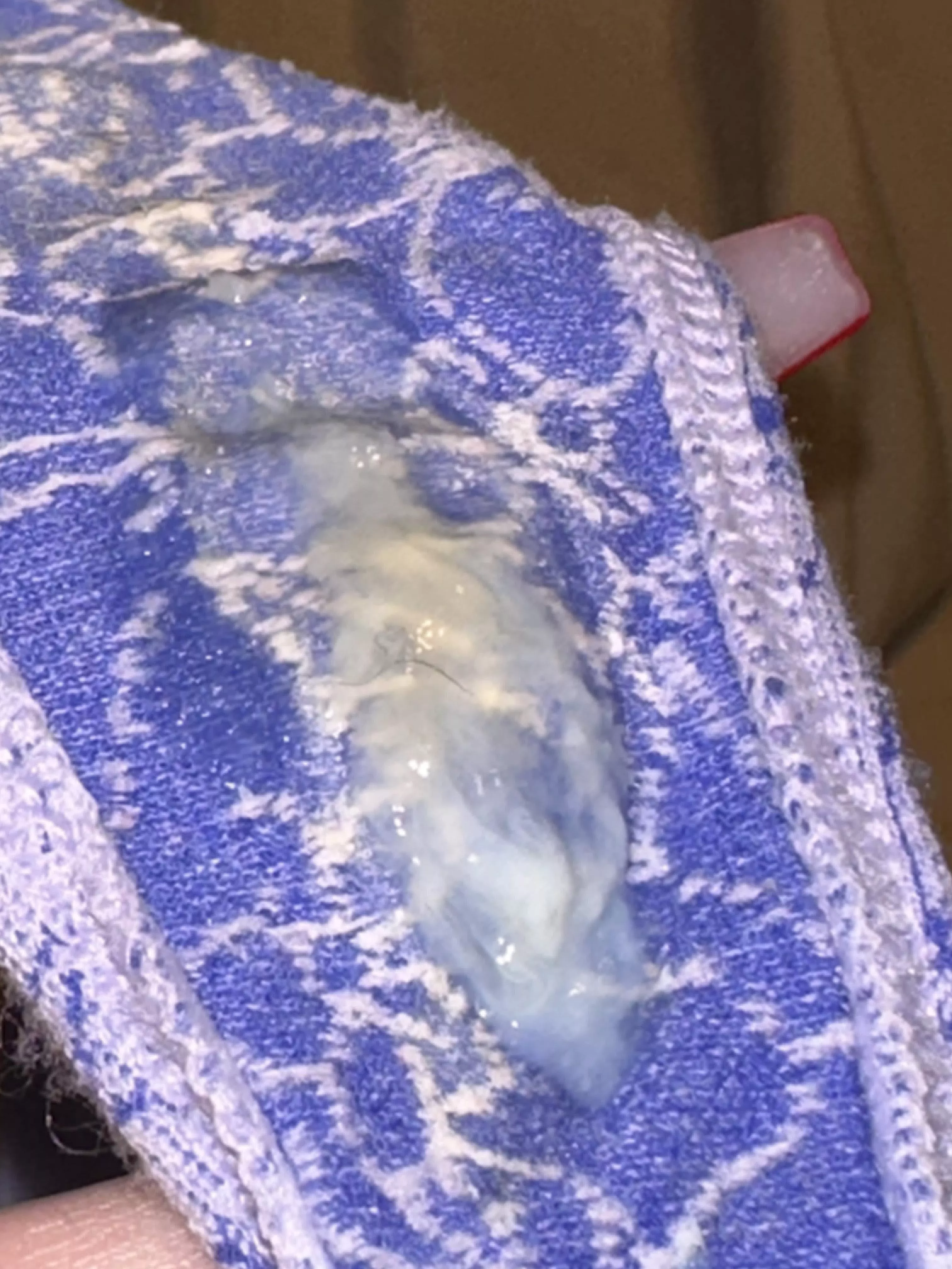 Ovulation has me soaking 💦 posted by dreamy_dutchess