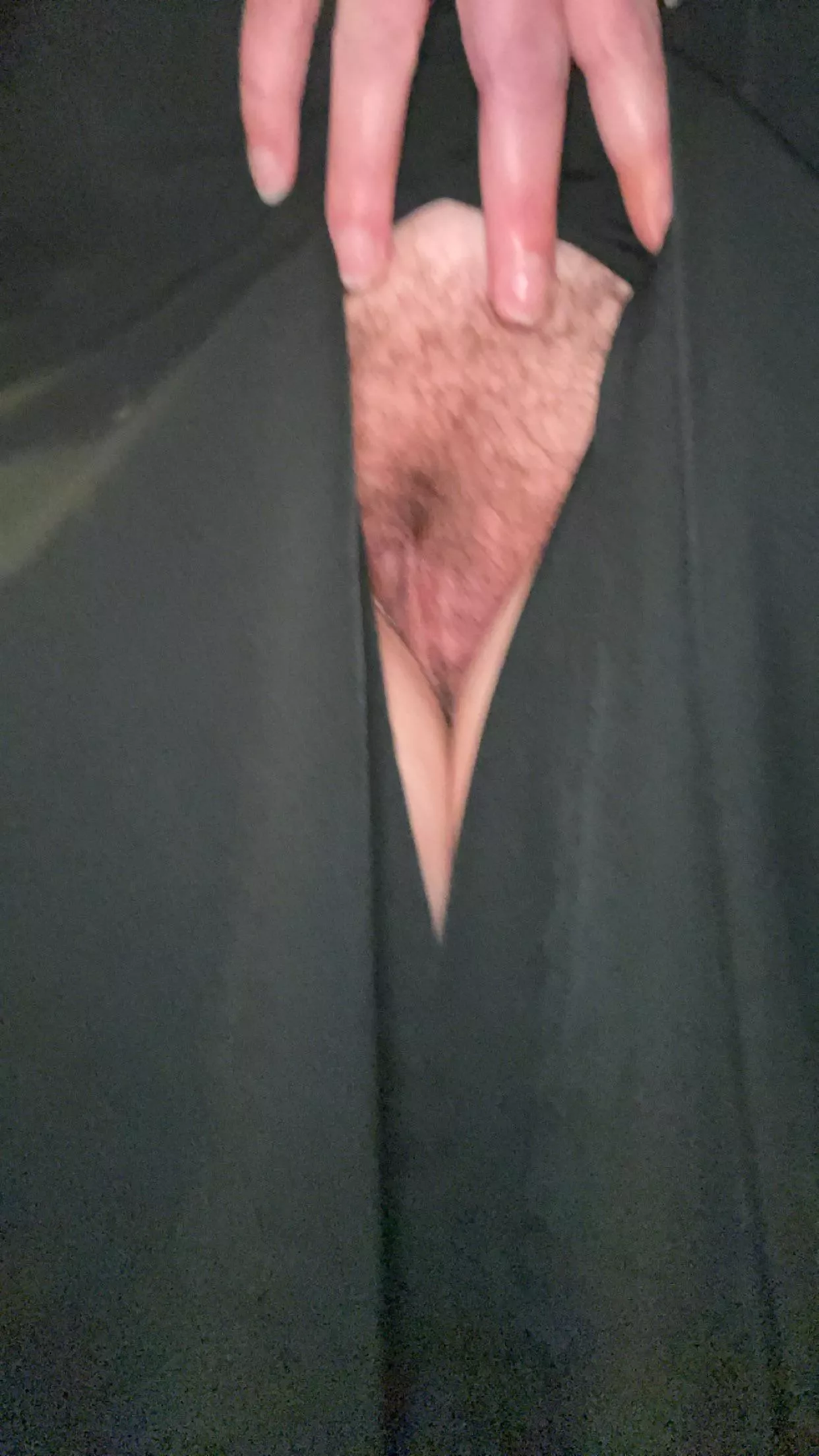 Peak a bush posted by Spare_Impression_950