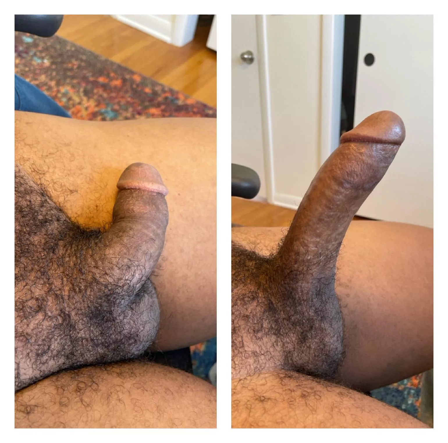 Should I shave him  posted by Motor-Comfort-2382