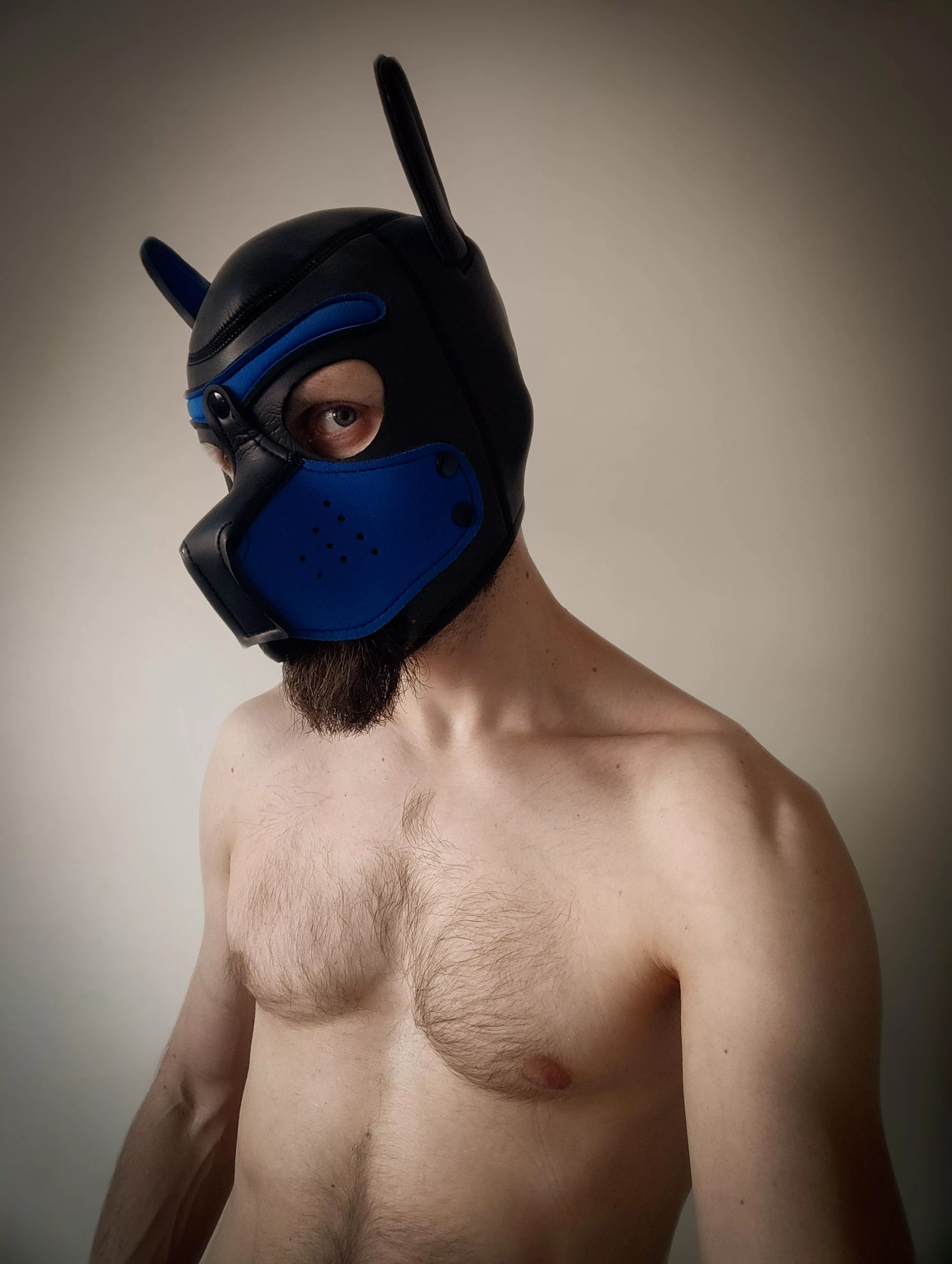 Side eye 💪🏻🐶 posted by BeardWoof1337