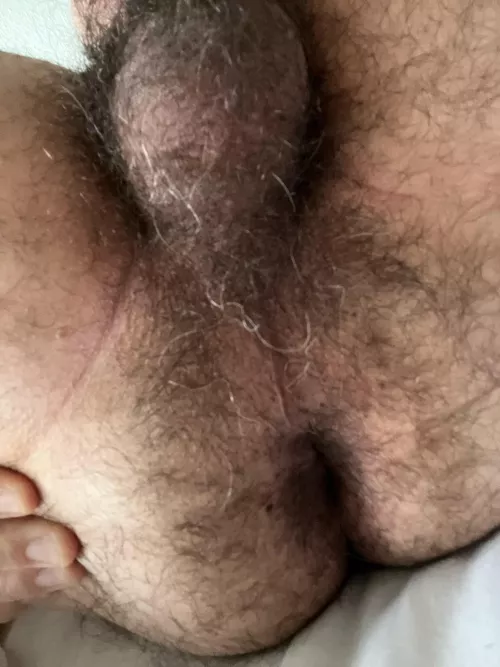 Spreading a bit by More_Evidence9346