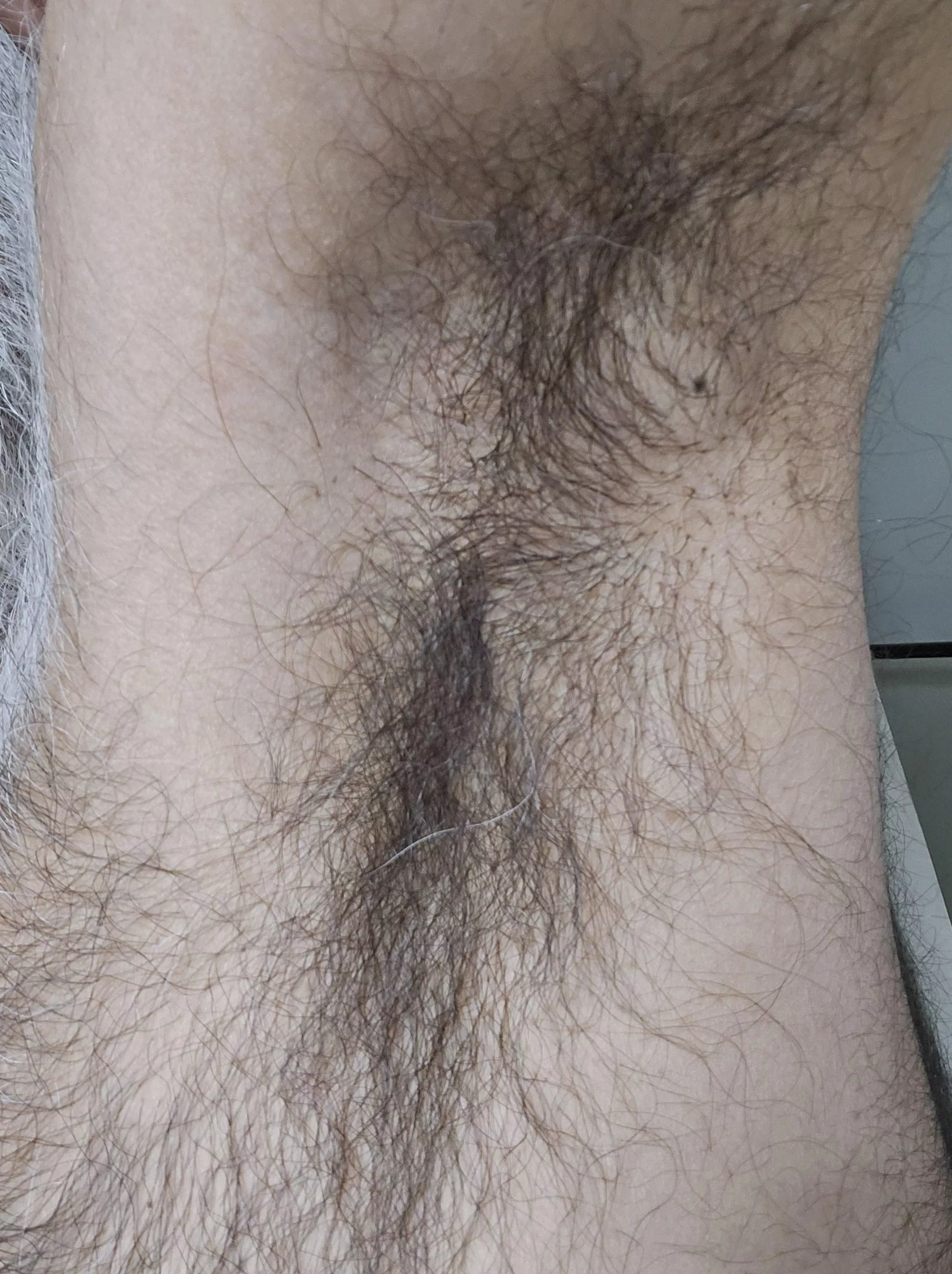 These smell amazing right now posted by TXSilverDad