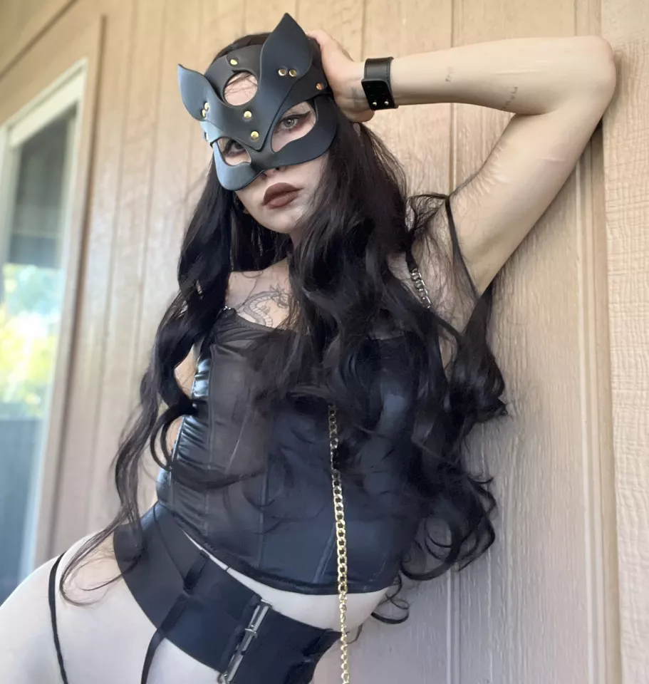 This kitty really wants to walk [F] posted by am_ferra_