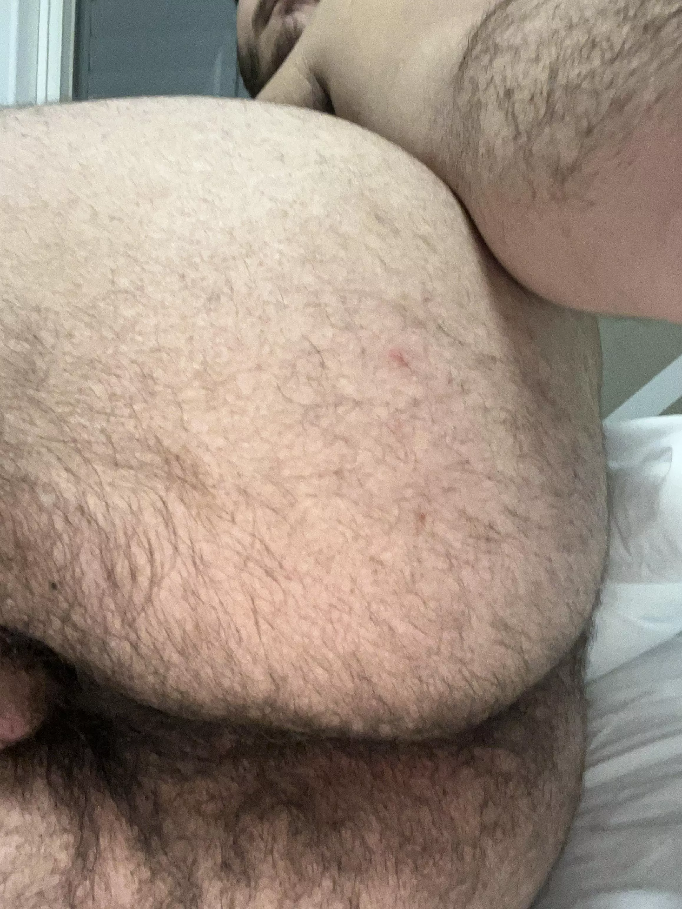 Wanna bury your face in my hairy ass posted by Former_Judge6015