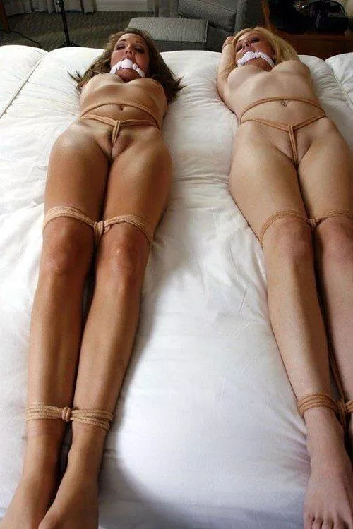 Whenever I see a picture like this I always wonder.... Were they captured together or separately???🤔 by MonoGlover