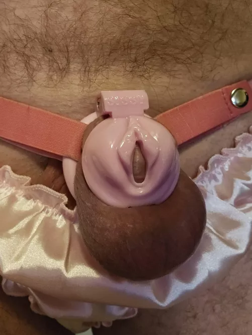 Who likes my new cage?!!? by MarriedPantyBoy