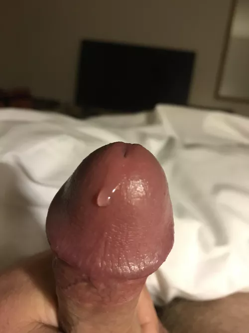 Would someone else’s wife enjoy this ?? by Massive-Trip7521