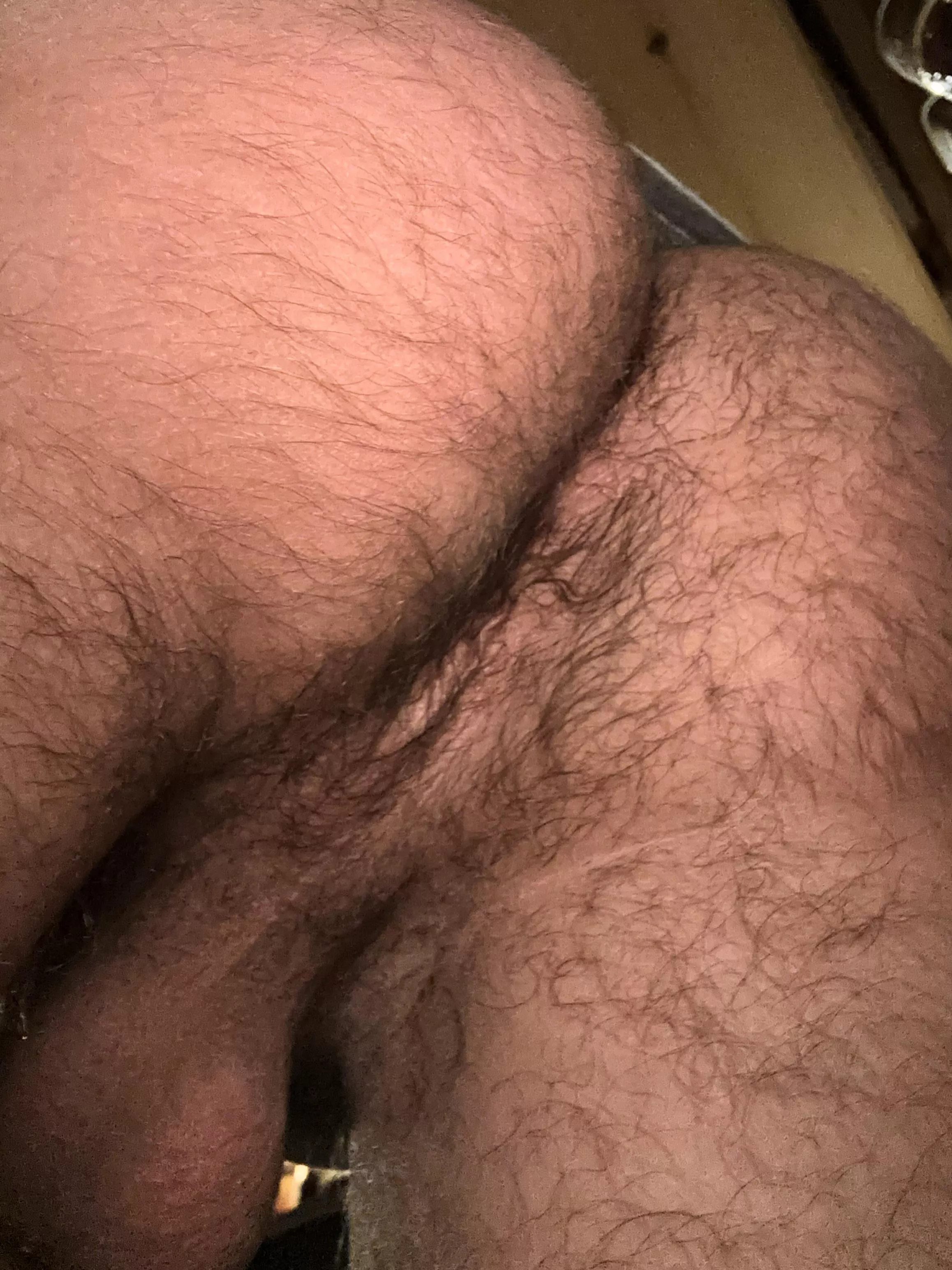 Would you bury your face bro? posted by countryjock24