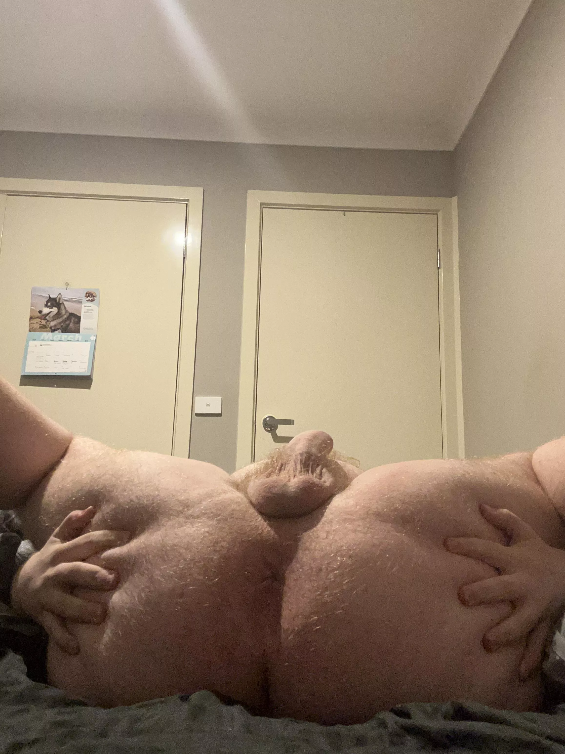 [18] fuck my hole posted by omegadestroyer826472