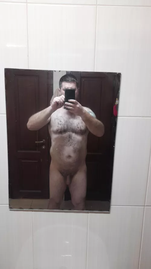 45m verse bear by UnableWeird7878