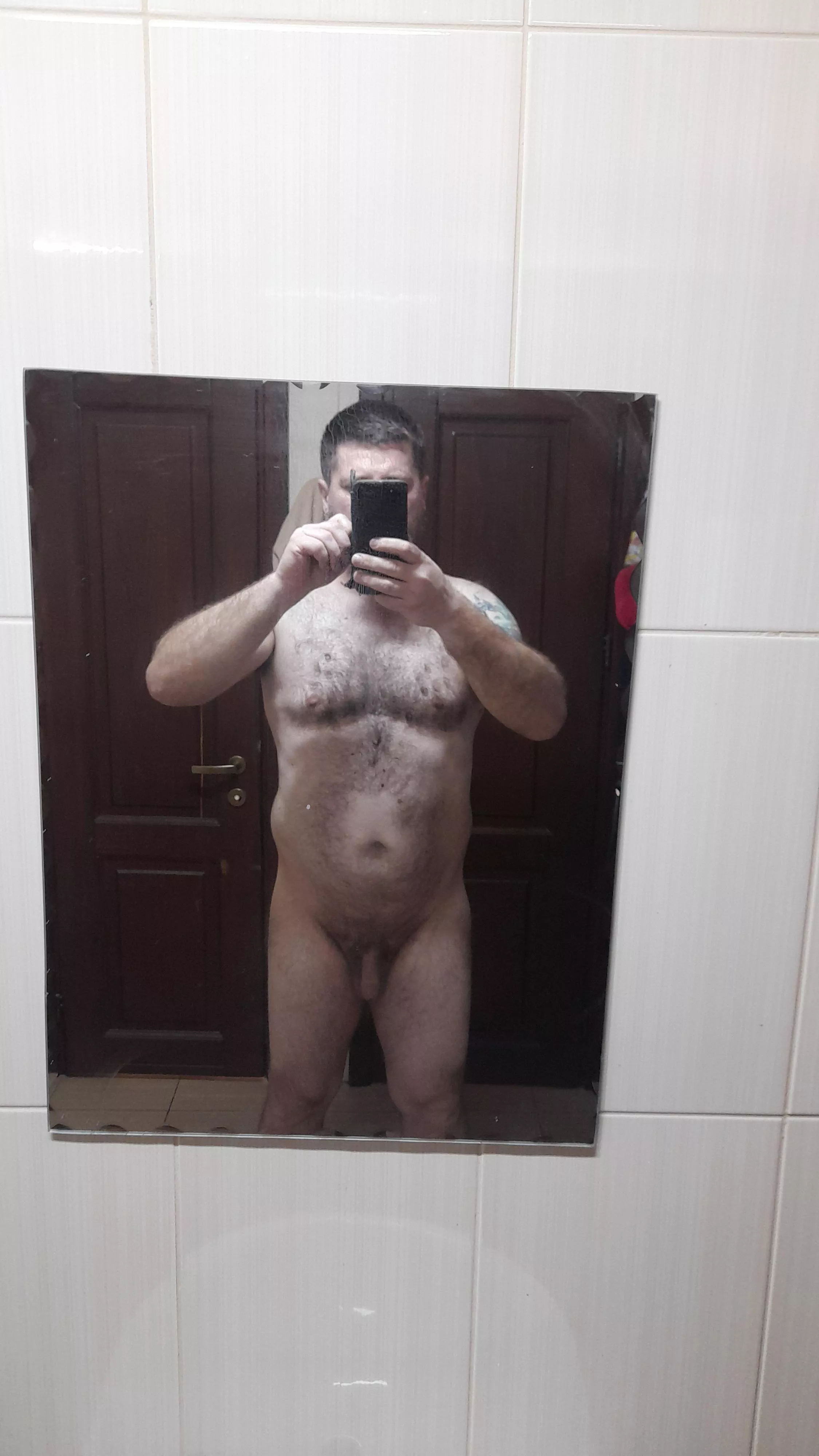 45m verse bear posted by UnableWeird7878