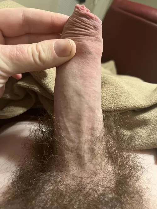 All American cock by Bkhafbond