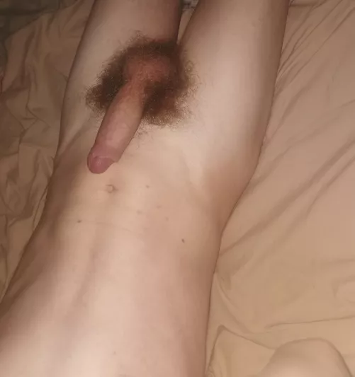 Anyone down for a ride?! by TheNovaOP