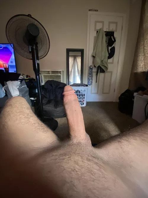 Are you riding or Sucking first ? by guiltygoonerr