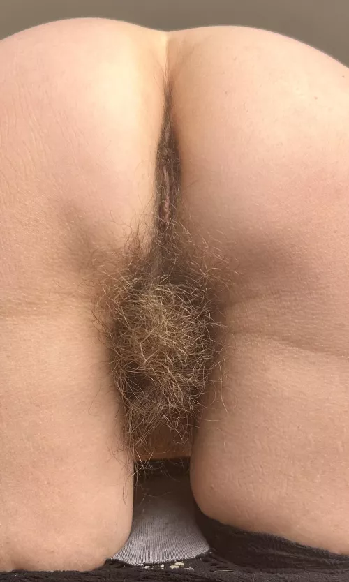 Do you like my [h]airy backside? by hairybushsara