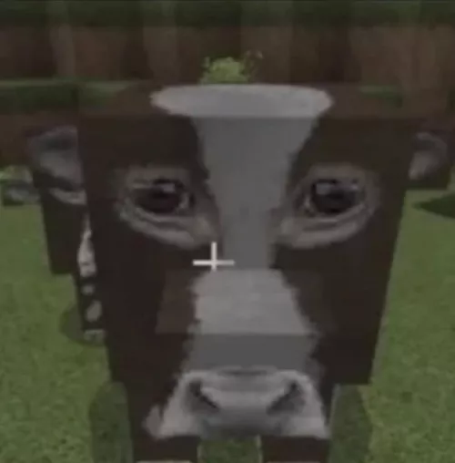 does anyone know the name of this texture? I only have this image by RockyFoxyYT