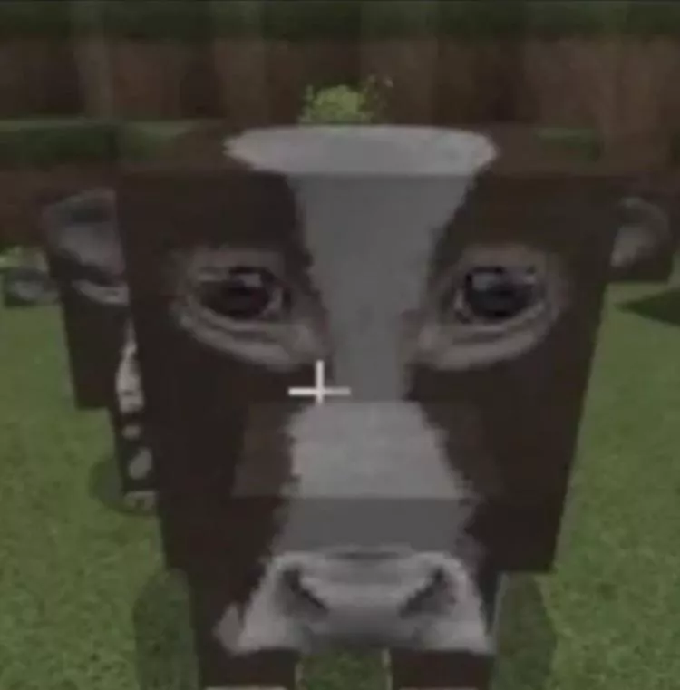 does anyone know the name of this texture? I only have this image posted by RockyFoxyYT