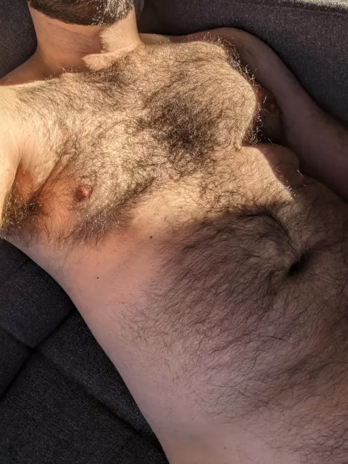 Enjoying the morning sun by aguy_3