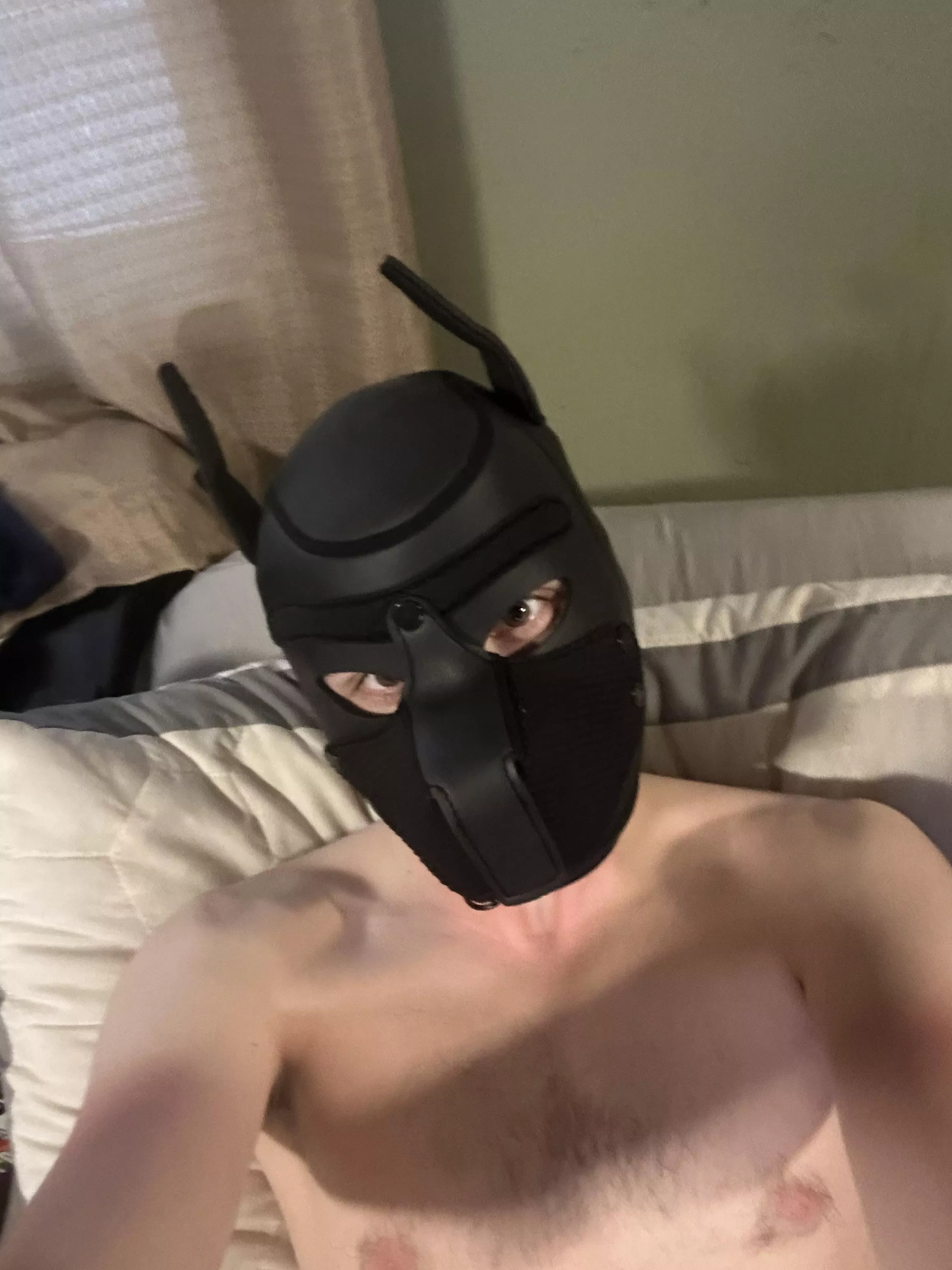 Got my first hood posted by AidenMills