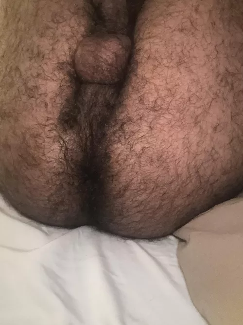 Hairy boicunt by londonboi92