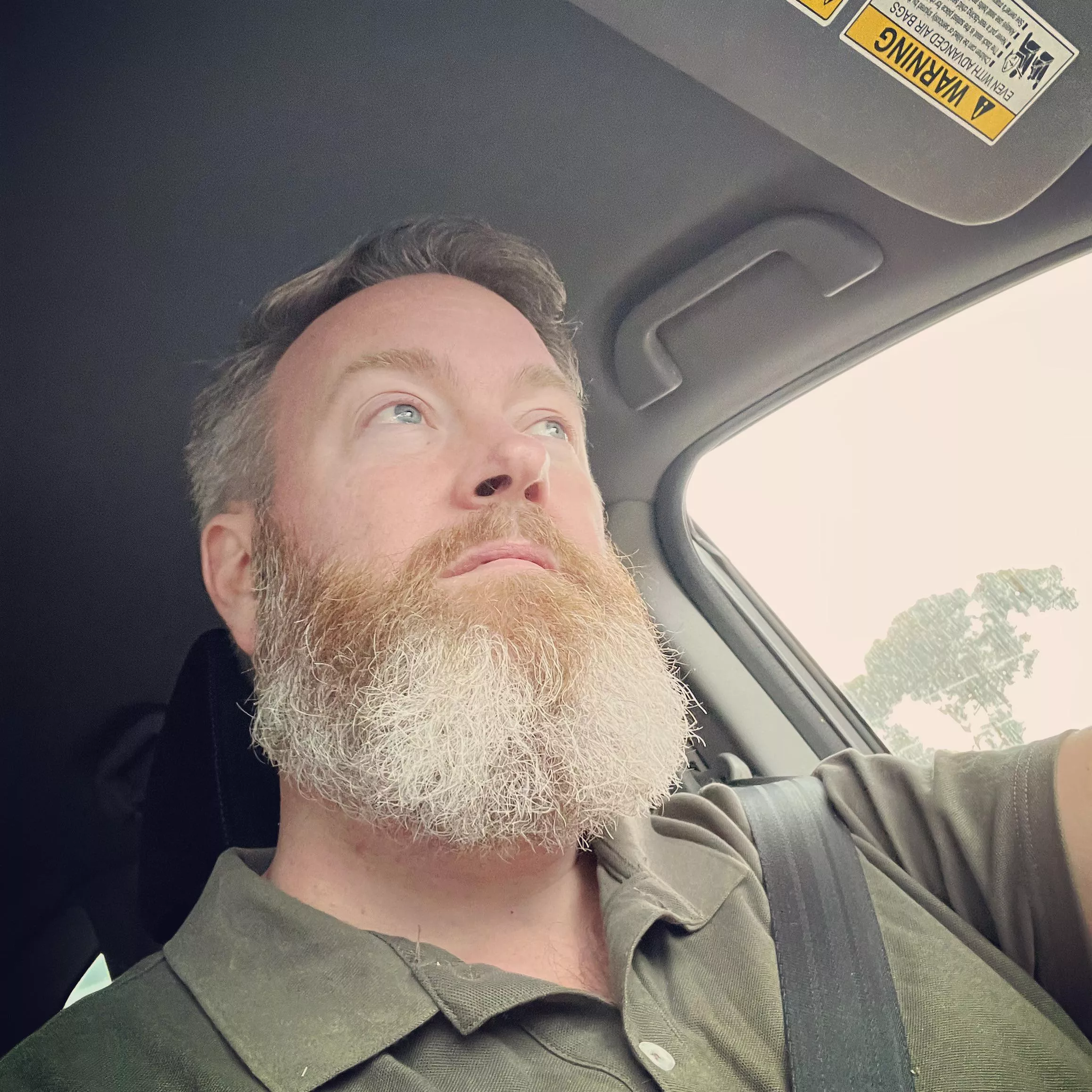 How do you like my Dad beard posted by No-Ad9965