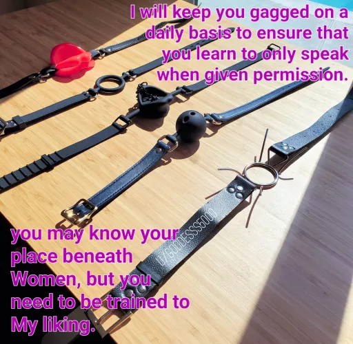 In time, you will be trained to best serve Me. by Goddesss5000