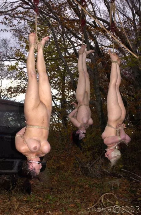 Insex was WILD back in the day.... posted by MonoGlover