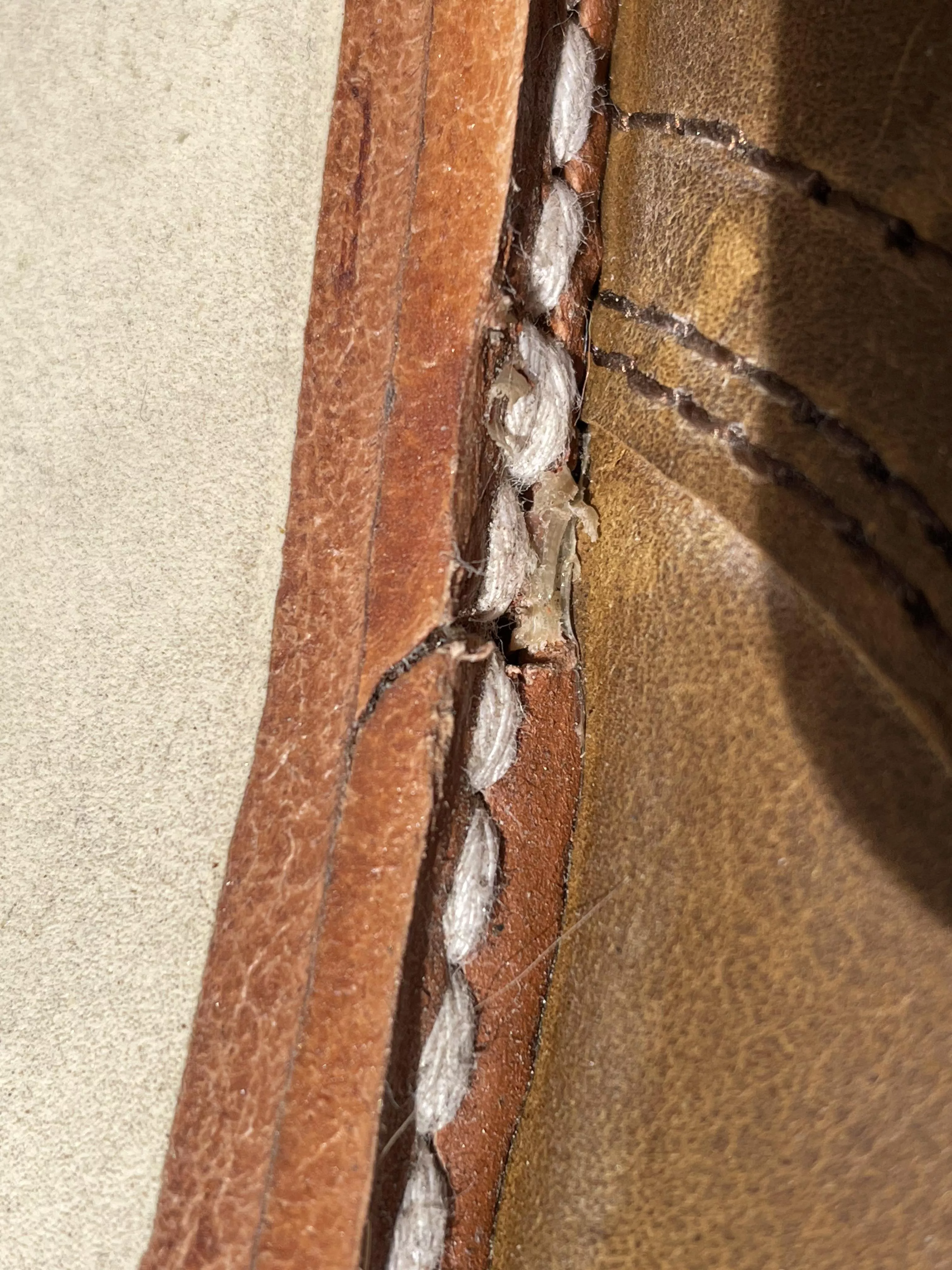 Is this welt a concern? posted by Simpfather