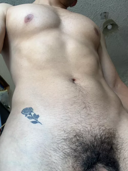 Kiss my rose  by Oscoor18