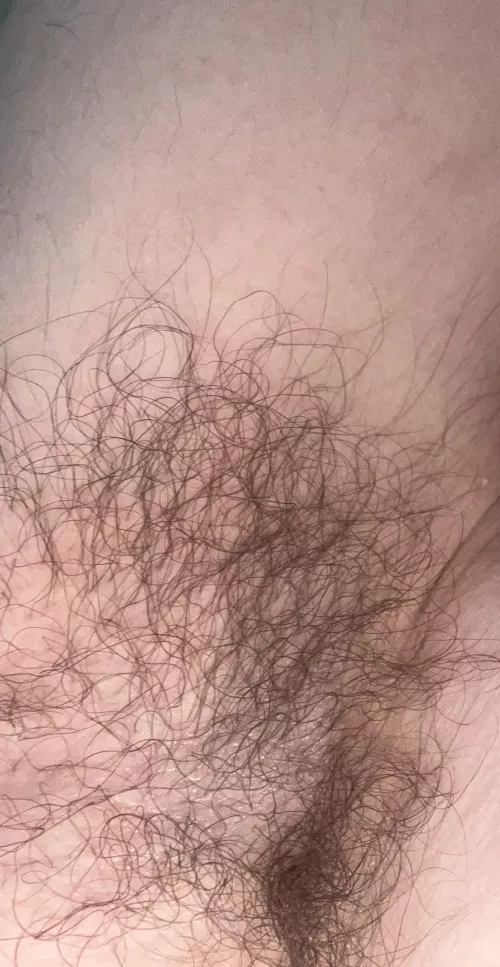 Like my pits? by Obvious-Phrase-9545