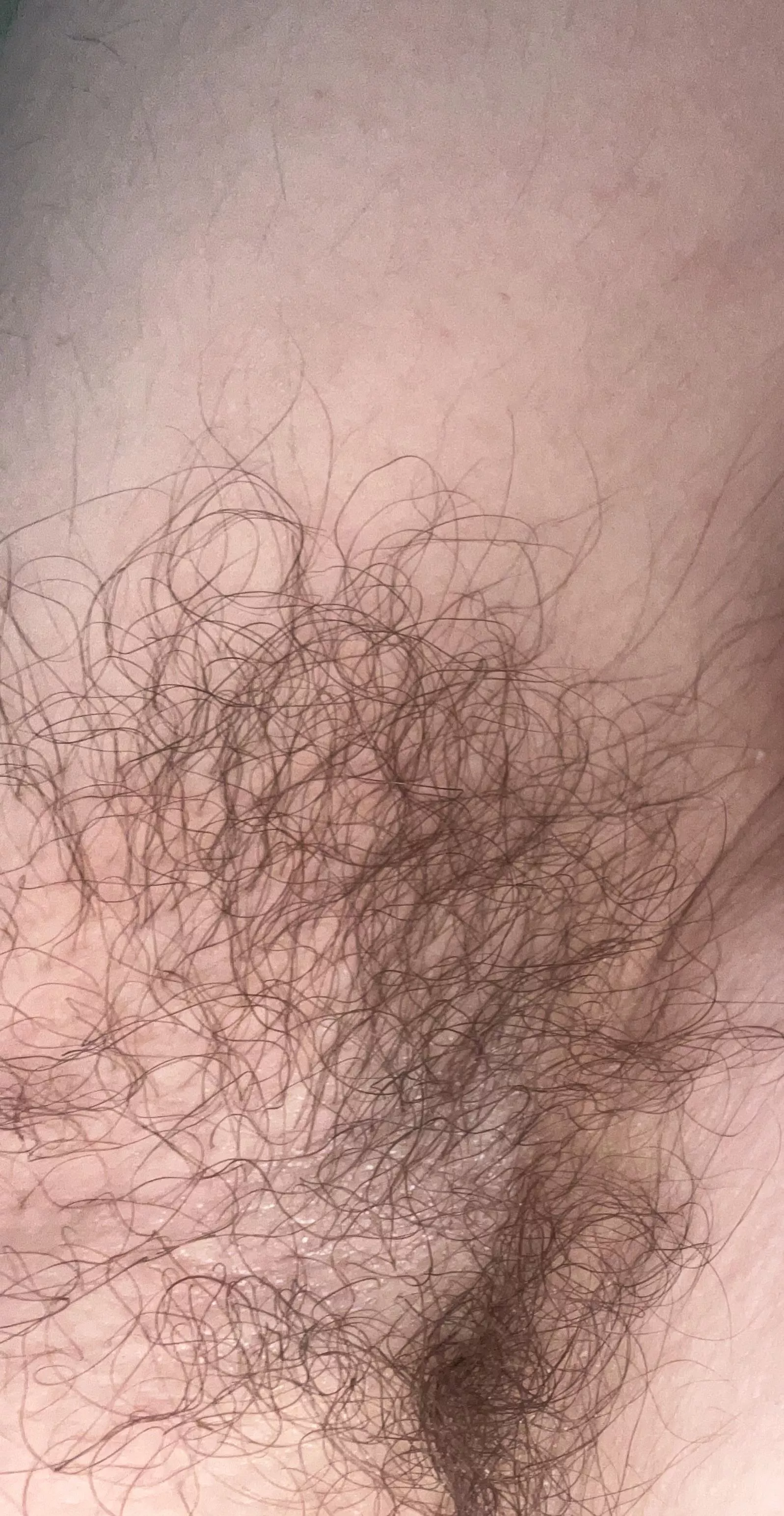 Like my pits? posted by Obvious-Phrase-9545