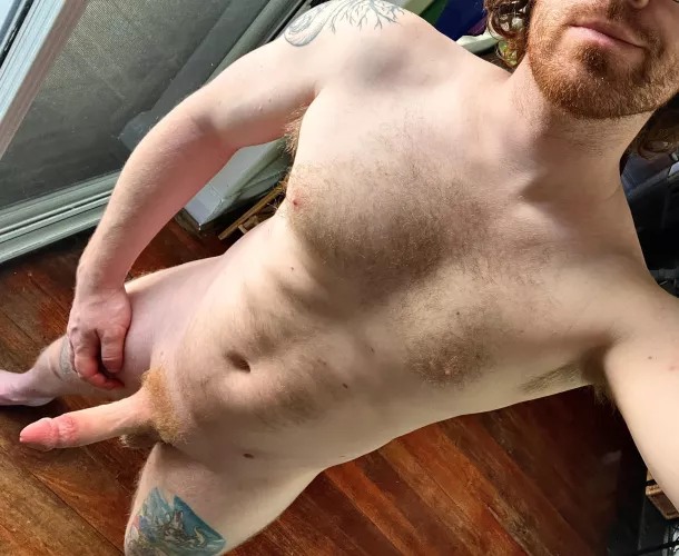 Morning glory by papiginge