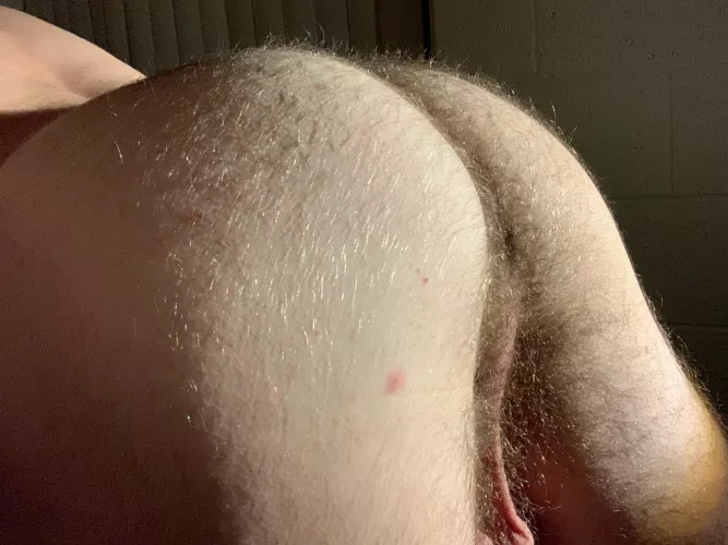 My favorite position  by PinComplete32