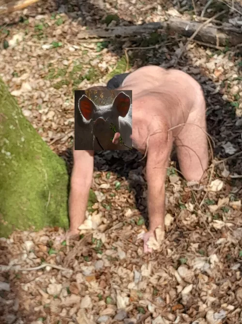 Oink oink by Happy-Set-25