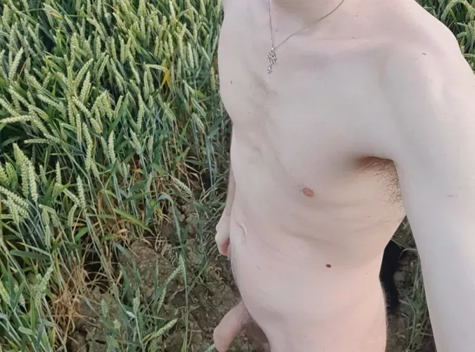 Running through fields of wheat by wamaster69