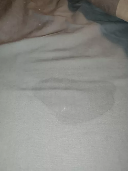 Squirt spot after yesterday's fun :) by Repulsive_Ad4961