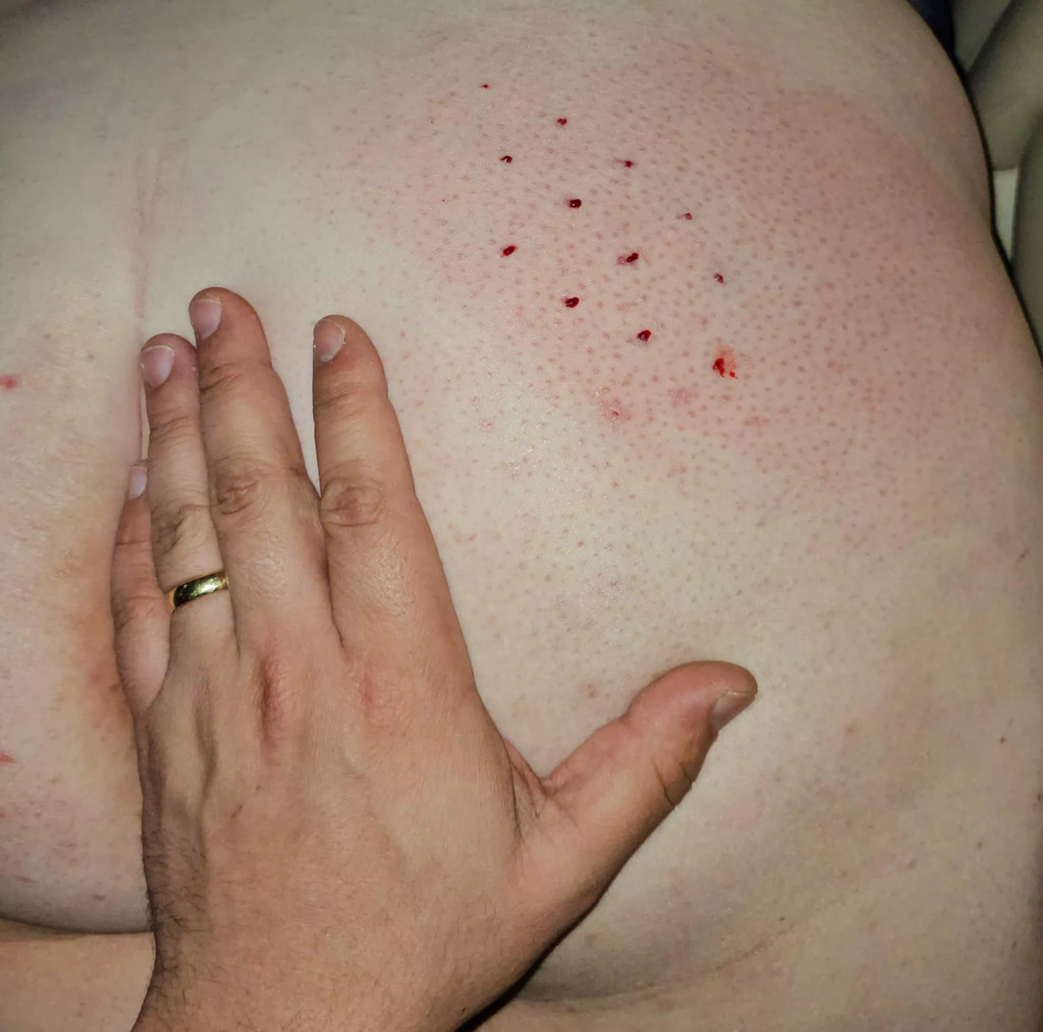 Starting back with the spiked paddle for her... posted by CapivaraCouple