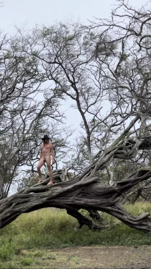 Tree people  by Dirtydesertcowboy