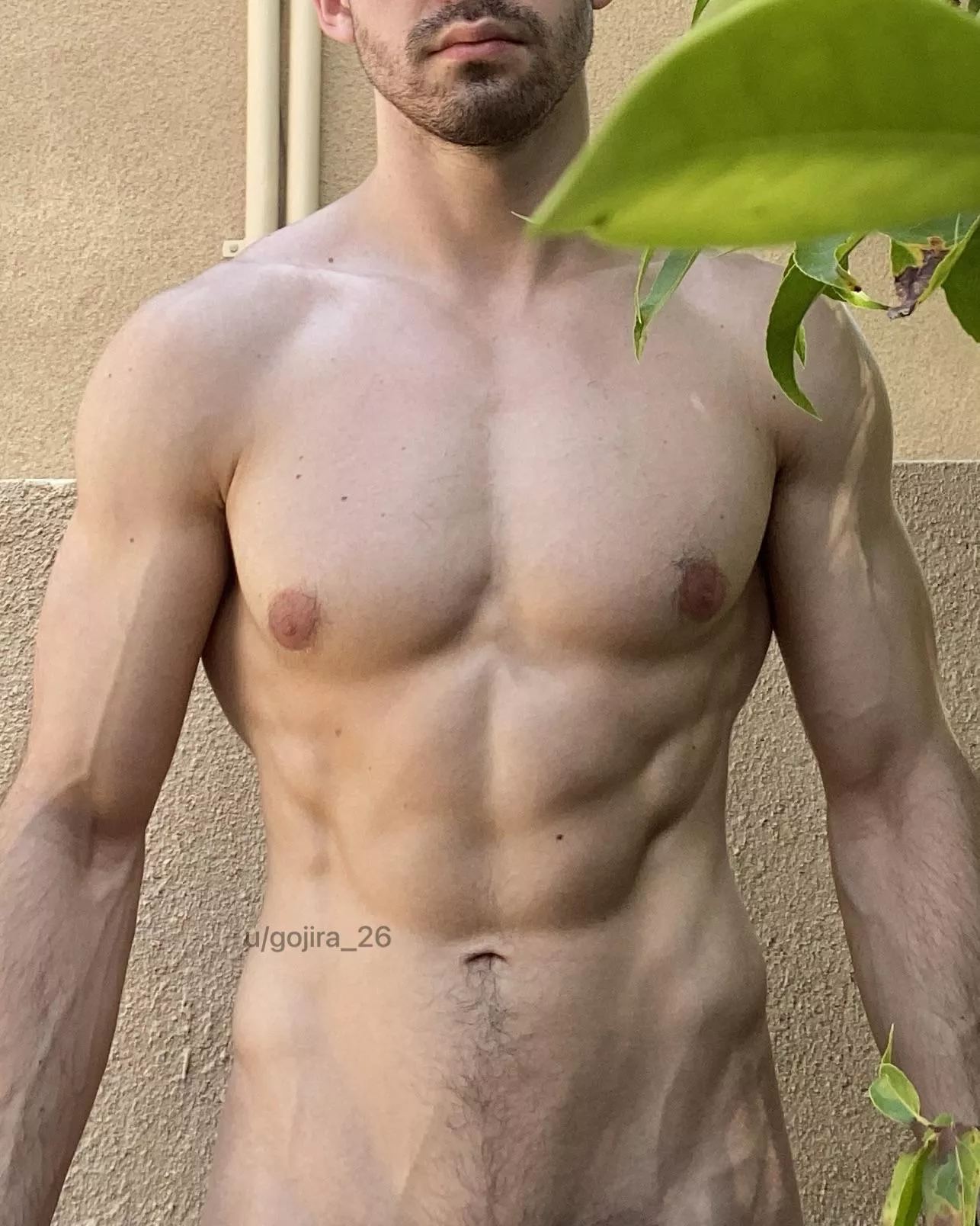 Urban landscaping [M] posted by gojira_26